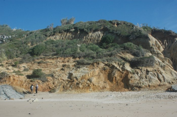 Figure 4 : Formations plio-quaternaires sableuses sur la plage du Pavillon Royal - Bidart