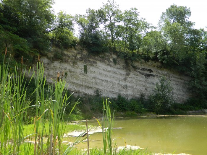 Figure 2 : Calcaire marneux du Maastrichtien - Dumes (Landes)