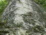 Figure 4 : Falaise calcaire du Maastrichtien - Dumes (Landes)