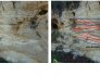 Figure 3 : Photo de grès calcaire, bioclastique, stratifié (© Bourbon P., 2017)
