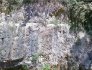 Figure 2 : Vue rapprochée du Calcaire de Nérac (© Google 2014)