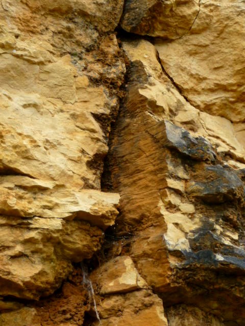 Figure 4 : Diaclase élargie par la circulation de l'eau dans les calcaires gréseux du Turonien, sur le site de Couvert (Platel JP., 2013)