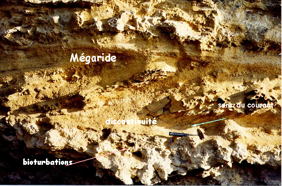 Figure 3 : Détail des figures sédimentaires dans les calcaires silicoclastiques (une nette discontinuité entre deux séquences se trouve au niveau du marteau - © Platel JP., 2015)