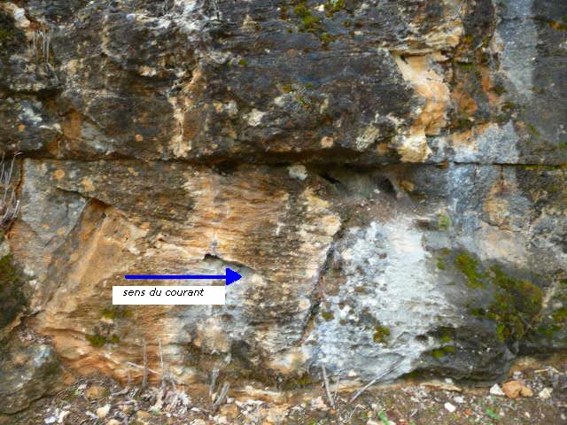 Figure 1 : Mégaride dans les calcaires bioclastiques du Coniacien (Platel JP., 2013)