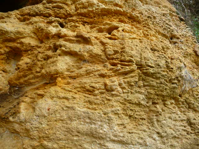 Figure 2 : Stratifications obliques dans les calcaires coniaciens (Platel JP., 2013)