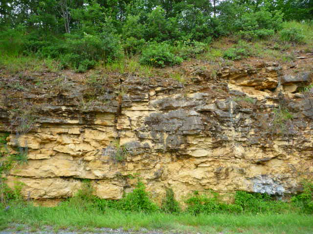 Figure 2 : Vue générale de l'affleurement de calcaires gréseux du Turonien à Couvert (Platel JP., 2013)