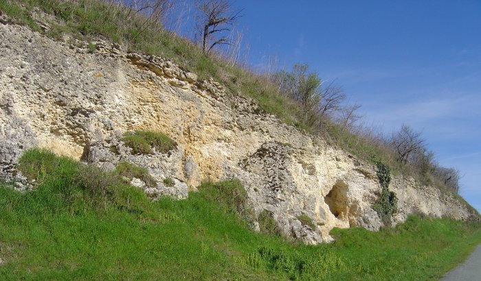 Figure 1 : Calcaire blanc de l'Agenais (Platel JP., 2014)