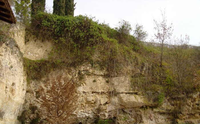 Figure 1 : Falaise du Calcaire de Nérac de l'Oligocène inférieur (Platel JP., 2014)
