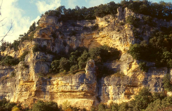 Figure 1 : Falaise des calcaires bioclastiques lités coniaciens à l'est du Château de Marqueyssac (Platel JP., 2013)
