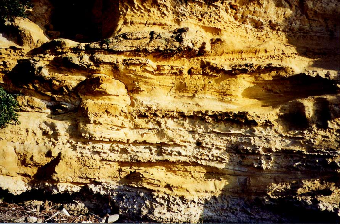 Figure 2 : Organisation de la sédimentation chenalisante des calcaires silicoclastiques de l'Eocène moyen (© Platel JP., 2015)