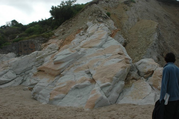 Figure 2 : Calcaire rose du Danien sur la plage du Pavillon Royal - Bidart