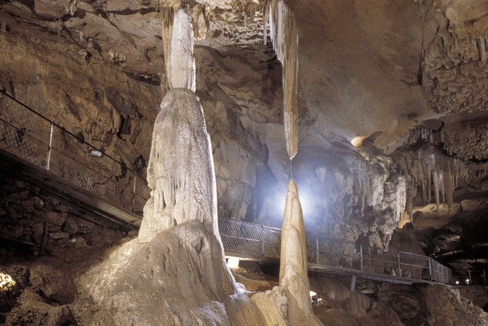 Figure 1 : Colonnes en formations © Grotte de Bétharram