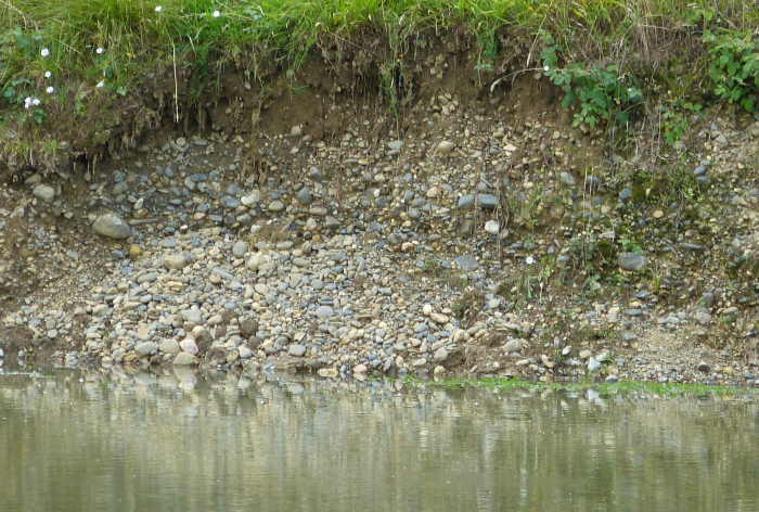Figure 1 : Talus de graviers dans l'ancienne exploitation de Nerbis avec la nappe d'eau en niveau moyen, début juin (© Platel JP., 2015)