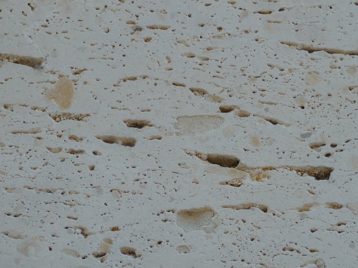 Figure 2 : Détail du faciès du Calcaire blanc à vacuoles (Platel JP., 2014)