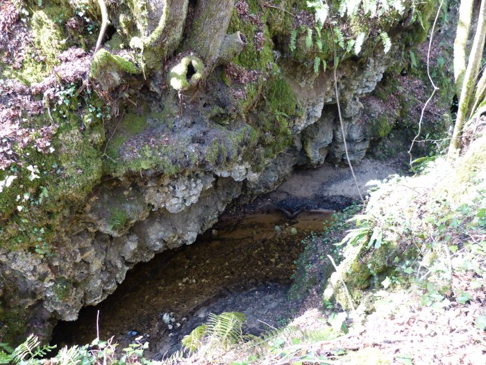 Figure 2 : Calcaires karstifiés du Maastrichtien, entaillés par le ruisseau du Cros (Platel JP., 2014)