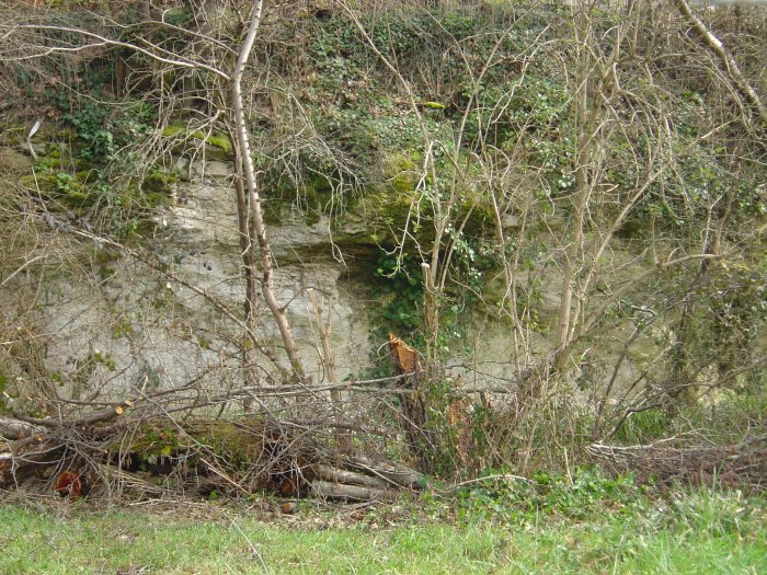 Figure 1 : Petite falaise de calcaire blanc, en bordure orientale du ruisseau de Baillard (Platel JP., 2014)