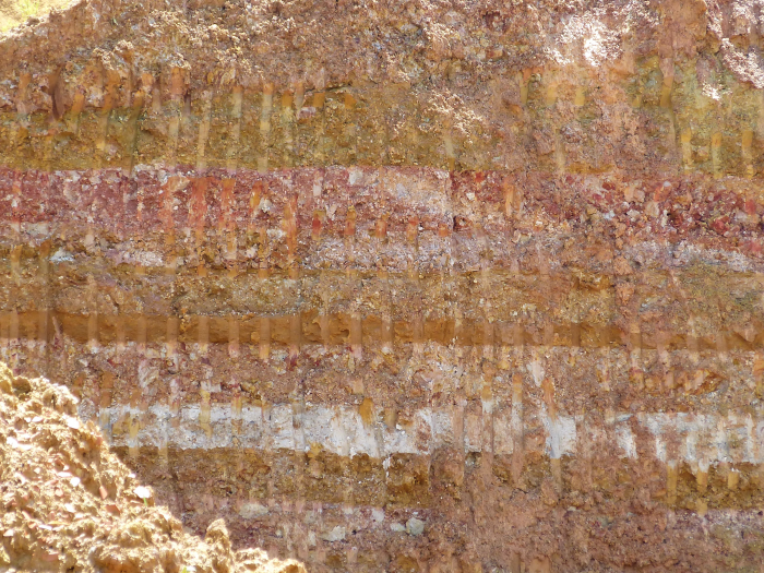 Figure 2 : Couches versicolores d'argile et de marne dans la carrière inférieure de Gamareil (© Platel JP., 2015)