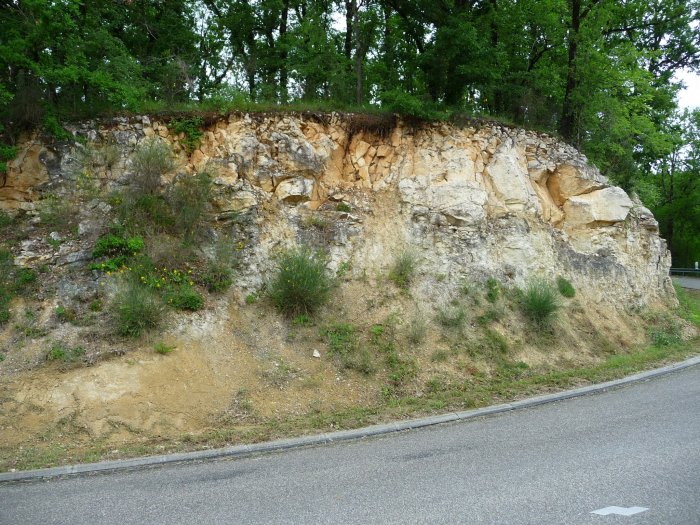 Figure 2 : Sommet de l'affleurement montrant le contact du Calcaire de Castillon sur les Molasses du Fronsadais (Platel JP., 2013)