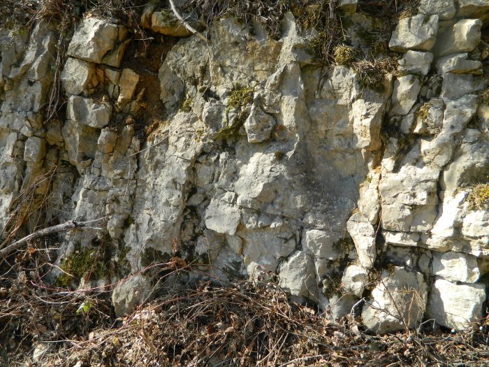 Figure 1 : Stratifications dans les calcaires du Bathonien supérieur