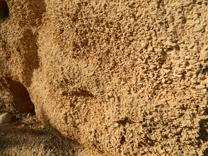 Figure 2 : Calcaire marneux du Turonien inférieur