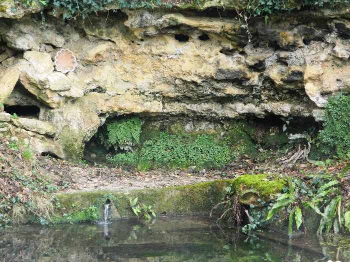 Figure 6 : Source de Larrivat, dans les grès du Burdigalien à Sainte-Croix-du-Mont (© Galey A., BRGM, 2012)