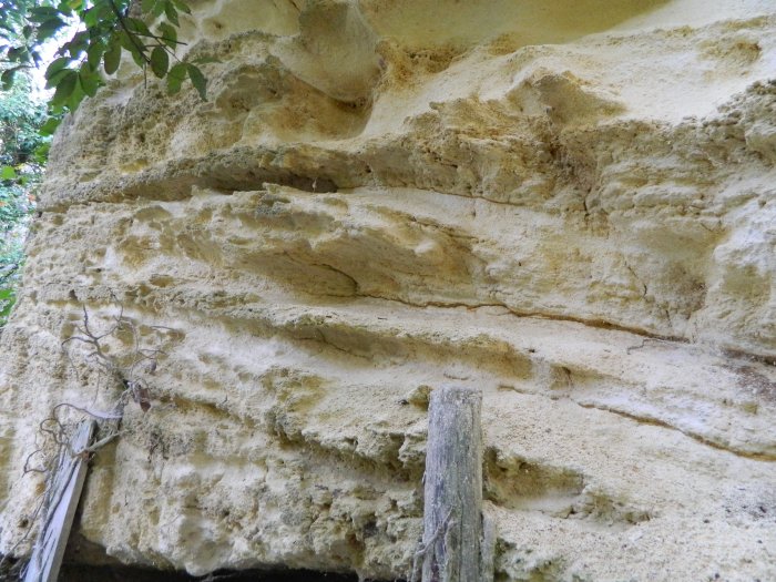 Figure 1 : Litages obliques dans le Calcaire à Astéries à Marmisson