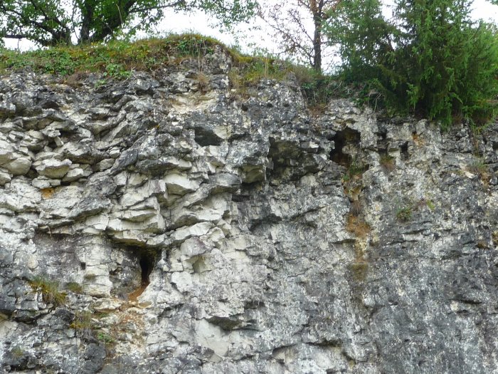 Figure 2 : Petits conduits karstiques dans le calcaire de Castillon (Platel JP., 2013)