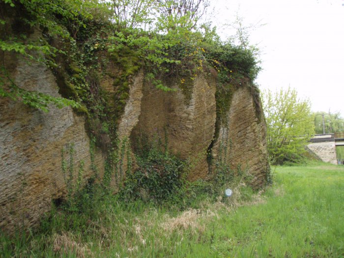 Figure 4 : Cheminées karstiques dans les grès calcaires du Serravallien