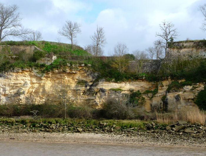 Figure 1 : La falaise des calcaires silicoclastiques de la Citadelle de Blaye (© Platel JP., 2015)