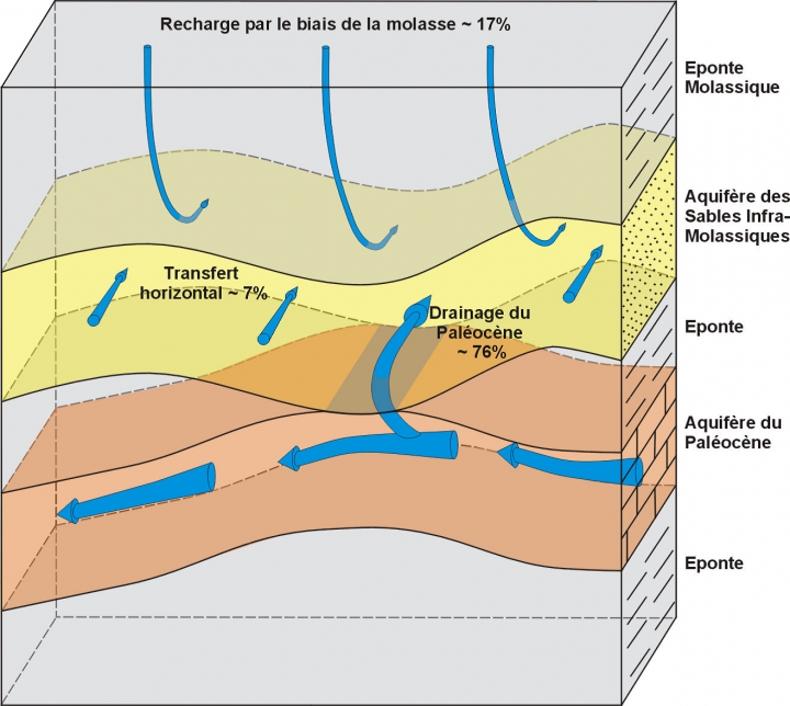 Figure 3 : Schéma conceptuel 3D du fonctionnement de l'aquifère des Sables Infra-Molassiques de la zone sud - secteur est